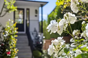 31 Alvarado Ave, Mill Valley, CA 94941 - Photo 19