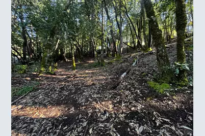 24278 Tulip Drive, Willits, CA 95490 - Photo 1