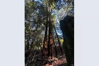 24278 Tulip Drive, Willits, CA 95490 - Photo 5