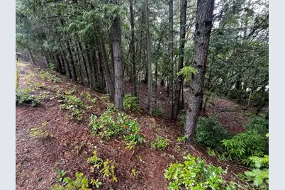 24278 Tulip Drive, Willits, CA 95490 - Photo 3