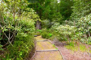 33100 Frog Pond Rd, Littleriver, CA 95456 - Photo 49