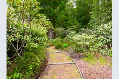33100 Frog Pond Road, Littleriver, CA 95456 - Photo 43