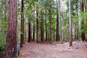 33100 Frog Pond Rd, Littleriver, CA 95456 - Photo 53