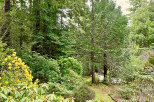 33100 Frog Pond Rd, Littleriver, CA 95456 - Photo 51