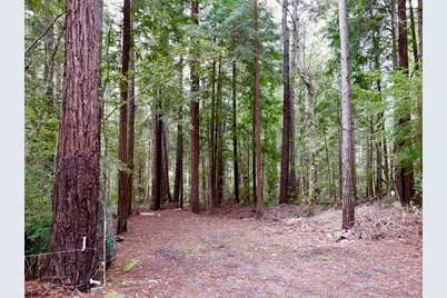 33100 Frog Pond Road, Littleriver, CA 95456 - Photo 47