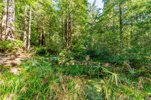33100 Frog Pond Rd, Littleriver, CA 95456 - Photo 45