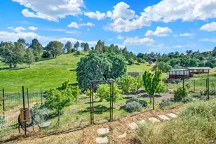 3922 Putah Ridge Trail, Winters, CA 95694 - Photo 63