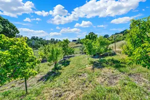 3922 Putah Ridge Trail, Winters, CA 95694 - Photo 65