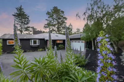 195 Edgewood Avenue, Mill Valley, CA 94941 - Photo 45