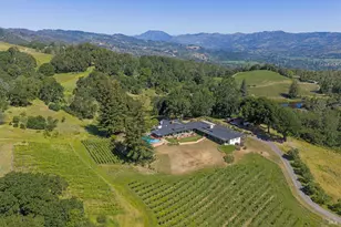 1975 Whitehall Ln, Saint Helena, CA 94574 - Photo 9