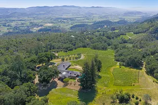 1975 Whitehall Ln, Saint Helena, CA 94574 - Photo 3
