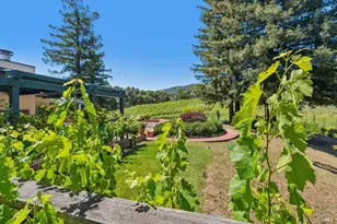 1975 Whitehall Ln, Saint Helena, CA 94574 - Photo 55