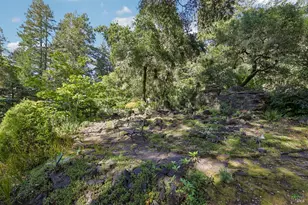 2515 Stepps Rd, Sebastopol, CA 95472 - Photo 65