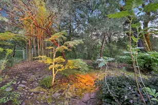 2515 Stepps Rd, Sebastopol, CA 95472 - Photo 51