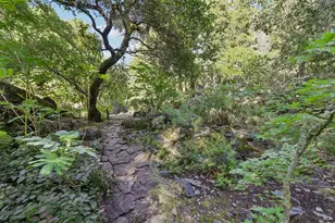 2515 Stepps Rd, Sebastopol, CA 95472 - Photo 67