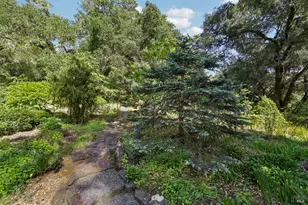 2515 Stepps Rd, Sebastopol, CA 95472 - Photo 63
