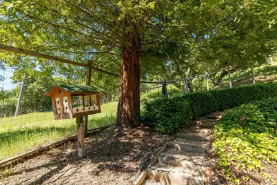 2554 Vineyard Road, Novato, CA 94947 - Photo 49