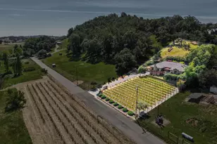 4111 Lovall Valley Rd, Sonoma, CA 95476 - Photo 55