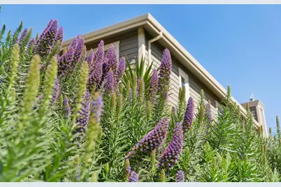 11798 State Route 1, Point Reyes Station, CA 94956 - Photo 49