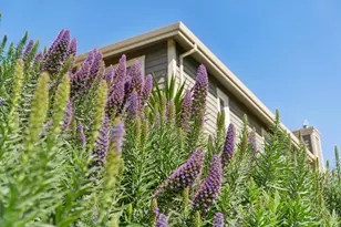11798 Hwy 1, Point Reyes Station, CA 94956 - Photo 49