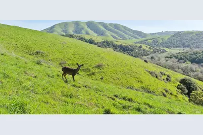 11798 State Route 1, Point Reyes Station, CA 94956 - Photo 1