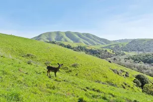 11798 Hwy 1, Point Reyes Station, CA 94956 - Photo 1