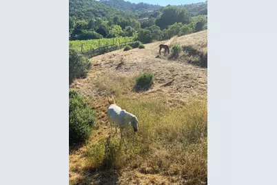 1167 Stanford Court, Napa, CA 94558 - Photo 79