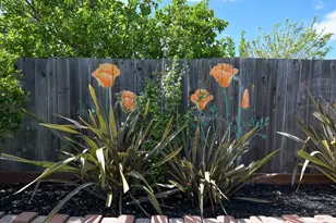 16 Wallace Way, San Rafael, CA 94903 - Photo 39