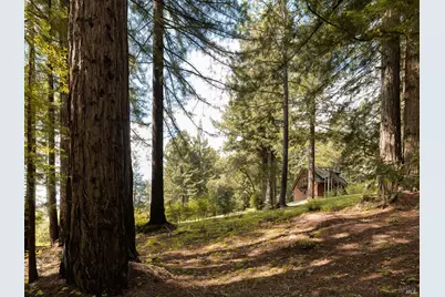 15570 Bittner Lane, Occidental, CA 95465 - Photo 31