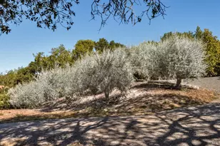 3763 Matanzas Creek Ln, Santa Rosa, CA 95404 - Photo 61