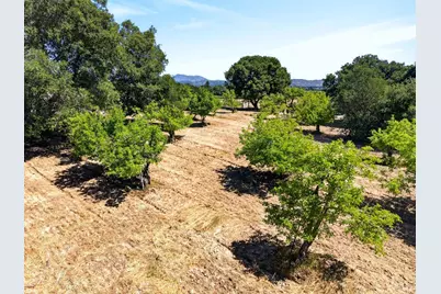 2062 Laguna Road, Santa Rosa, CA 95401 - Photo 77