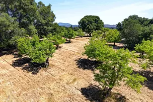 2062 Laguna Rd, Santa Rosa, CA 95401 - Photo 77