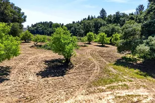 2062 Laguna Rd, Santa Rosa, CA 95401 - Photo 79