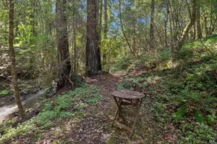 11910 Graton Rd, Sebastopol, CA 95472 - Photo 63