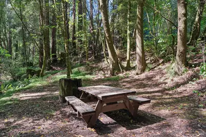 11910 Graton Road, Sebastopol, CA 95472 - Photo 11