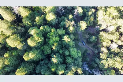 8735 Woodman Creek Road, Laytonville, CA 95454 - Photo 5