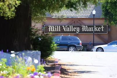 419 Laverne Avenue, Mill Valley, CA 94941 - Photo 57