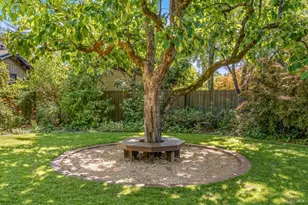 1533 Kearney St, Saint Helena, CA 94574 - Photo 27