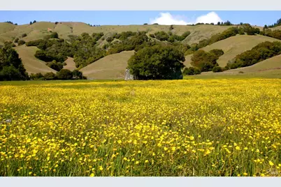 46 Carson Road, Woodacre, CA 94973 - Photo 47