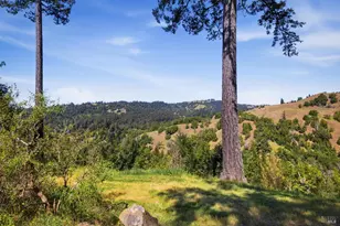 28812 Bohan Dillon Rd, Cazadero, CA 95421 - Photo 23