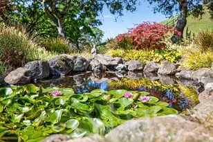 8373 Singing Hills Trail, Santa Rosa, CA 95404 - Photo 21