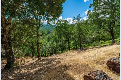 0 Sorrell Court, Napa, CA 94558 - Photo 9