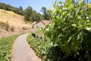 19400 Scenic Dr, Redwood Valley, CA 95470 - Photo 65