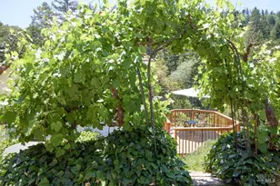 19400 Scenic Dr, Redwood Valley, CA 95470 - Photo 67