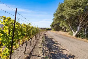 2000 McGary Rd, American Canyon, CA 94591 - Photo 23