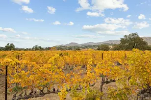 4171 Silverado Trail, Napa, CA 94558 - Photo 43