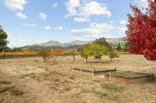 4171 Silverado Trail, Napa, CA 94558 - Photo 37