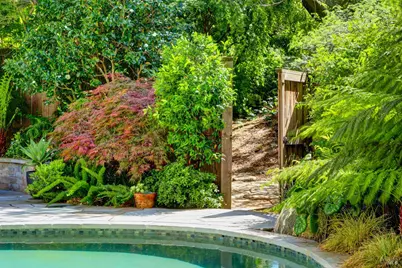 21 Niven Way, Larkspur, CA 94939 - Photo 77