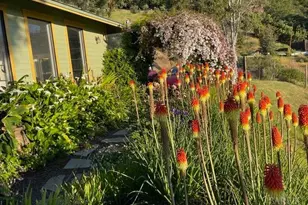 1455 Oak Knoll Rd, Ukiah, CA 95482 - Photo 51