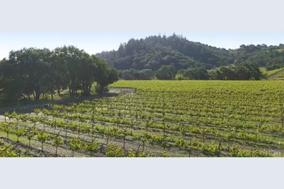 1300 Yount Mill Road, Napa, CA 94558 - Photo 7